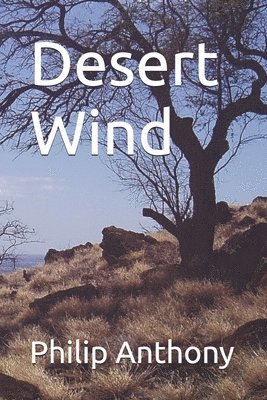 bokomslag Desert Wind