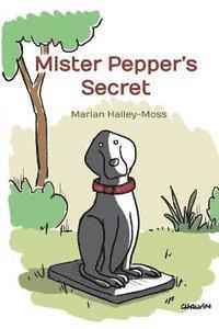 bokomslag Mister Pepper's Secret