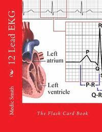 bokomslag 12 Lead EKG: The Flash Card Book