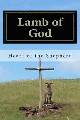 bokomslag Lamb of God: Bible Study