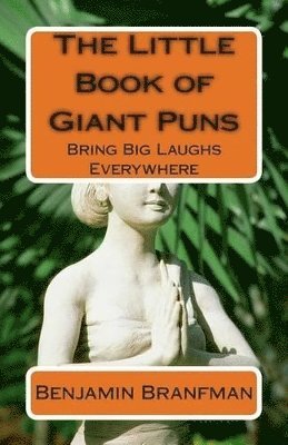 bokomslag Little Book of Giant Puns