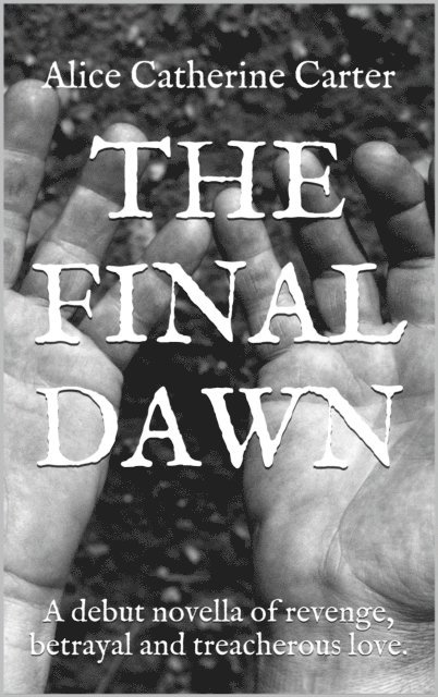 The Final Dawn: A debut historical fiction novella of revenge, betrayal and treacherous love. 1