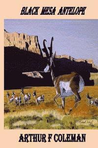 Black Mesa Antelope: Black Mesa Antelope 1