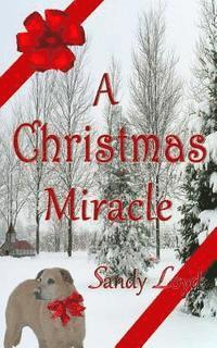 bokomslag A Christmas Miracle