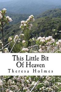 bokomslag This Little Bit Of Heaven: Book One of the Starfield Valley Tales