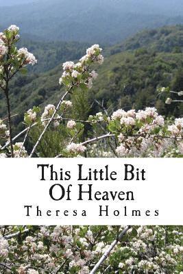 bokomslag This Little Bit Of Heaven: Book One of the Starfield Valley Tales