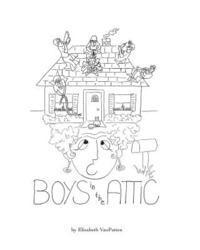 bokomslag Boys in the Attic