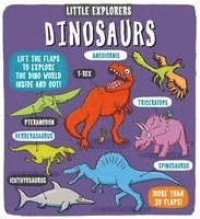 bokomslag Little Explorers: Dinosaurs