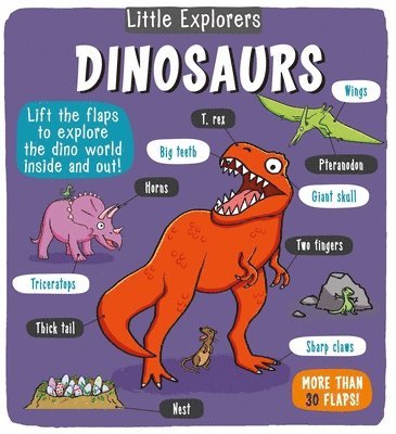 Little Bee Books - Little Explorers: Dinosaurs, Inbunden