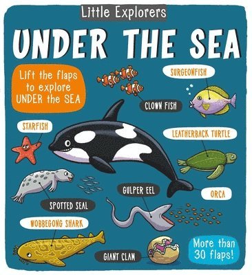 Little Bee Books - Little Explorers: Under the Sea, Inbunden
