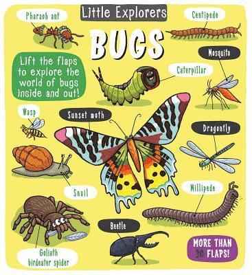 Little Bee Books - Little Explorers: Bugs, Inbunden