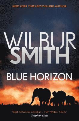 bokomslag Blue Horizon
