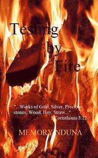 Testing by Fire: ...works of Gold, Silver, Precious stones, Wood, Hay, Straw...1 Corinthians 3:12