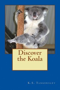 bokomslag Discover the Koala