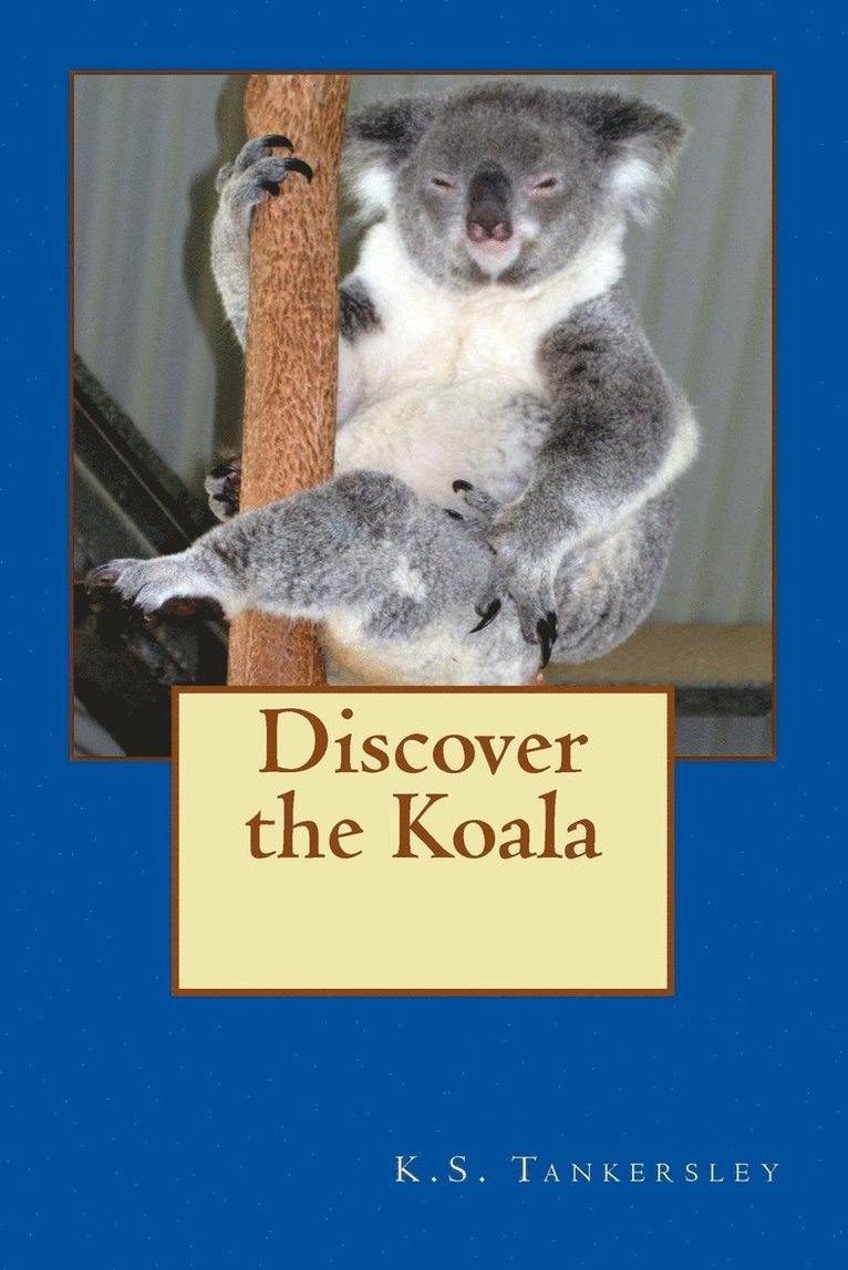 Discover the Koala 1