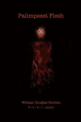 bokomslag Palimpsest Flesh