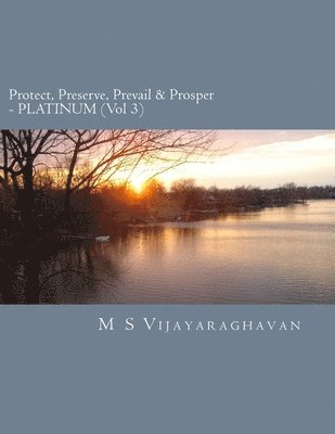 Protect, Preserve, Prevail and Prosper - PLATINUM (Vol 3): Business Protection Compendium from Disasters 1