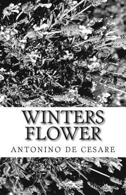 Winters flower 1