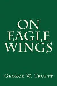 bokomslag On Eagle Wings