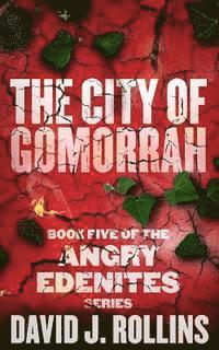 bokomslag The City of Gomorrah