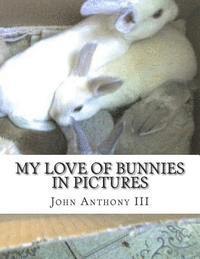 bokomslag My Love of Bunnies: in pictures