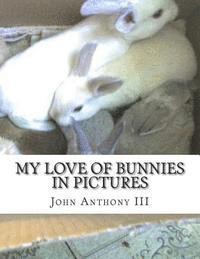 My Love of Bunnies: in pictures
