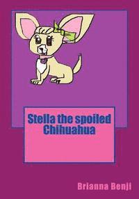 Stella the spoiled Chihuahua 1