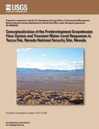 bokomslag Conceptualizing of the Pre-developed Groundwater Flow System and Transient Water-Level Responses in Yucca Flat, Nevada National Security Site, Nevada