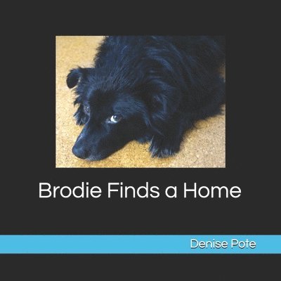 Brodie Finds a Home: Book 1 1