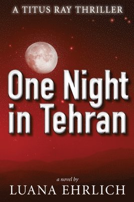 bokomslag One Night in Tehran