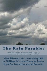 bokomslag The Rain Parables