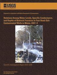 bokomslag Relations Among Water Levels, Specific Conductance, and Depths of Bedrock Fractures in Four Road-Salt-Contaminated Wells in Maine, 2007-9