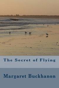 bokomslag The Secret of Flying