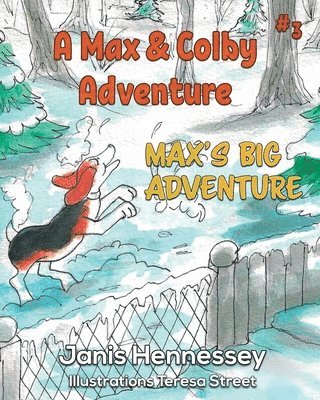 bokomslag Max's Big Adventure