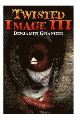 Benjamin Granger - Twisted Image III, Häftad