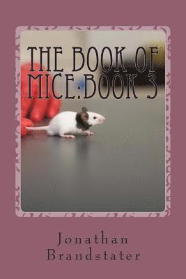 bokomslag The Book of Mice: Book 3: The Punk rats!