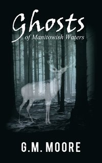bokomslag Ghosts of Manitowish Waters