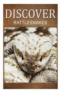 bokomslag Rattle Snakes - Discover: Early reader's wildlife photography book