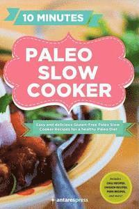 bokomslag Paleo Slow Cooker: 60 Easy and Delicious Gluten-free Paleo Slow Cooker Recipes for a healthy Paleo Diet