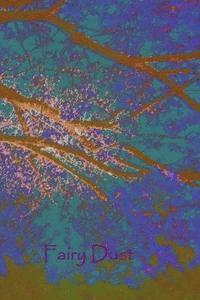 bokomslag Fairy Dust: personal diary