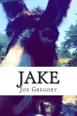 Jake 1