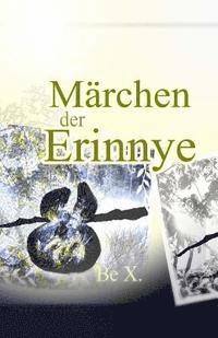 bokomslag Maerchen der Erinnye: 13 Maerchen und ein langes Vorwort aus feministischer Sicht