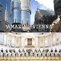 bokomslag Amazing Vienna