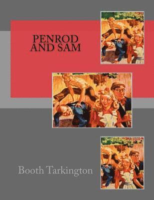 bokomslag Penrod And Sam