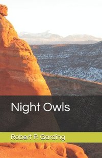 bokomslag Night Owls