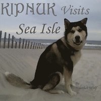 bokomslag Kipnuk Visits Sea Isle