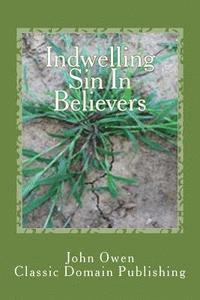 bokomslag Indwelling Sin In Believers