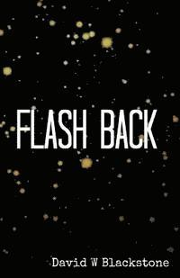 bokomslag Flash Back: collected stories 2009-2011