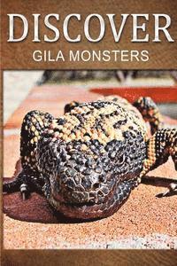 bokomslag Gila Monsters - Discover: Early reader's wildlife photography book