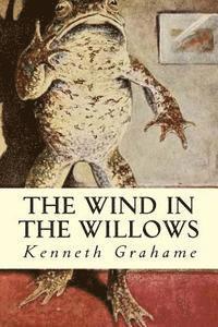 bokomslag The Wind in the Willows